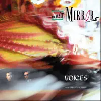 Voices — SPLIT MIRRORS