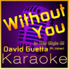 Without You [Karaoke Instrumental Version] (In the Style of David Guetta Ft Usher) - High Frequency Karaoke