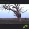 Ride On cover