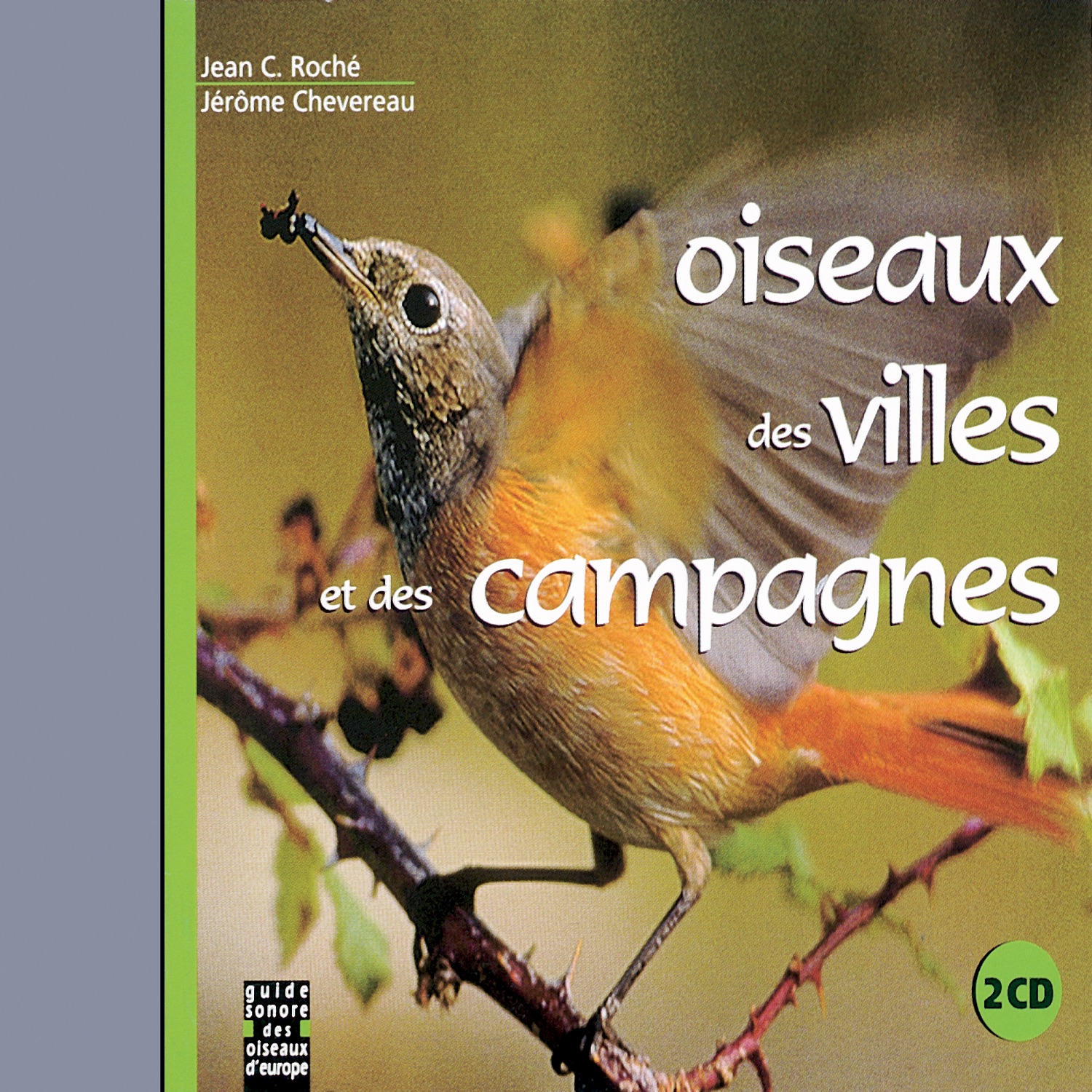 Oiseaux Des Villes Et Des Campagnes