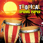 Tropical Drums Party - Island Steel Drum Band