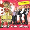 Gib mir alles - Single