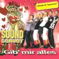 Gib' mir alles (Party Mix)