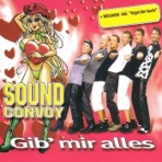 Gib mir alles - Single