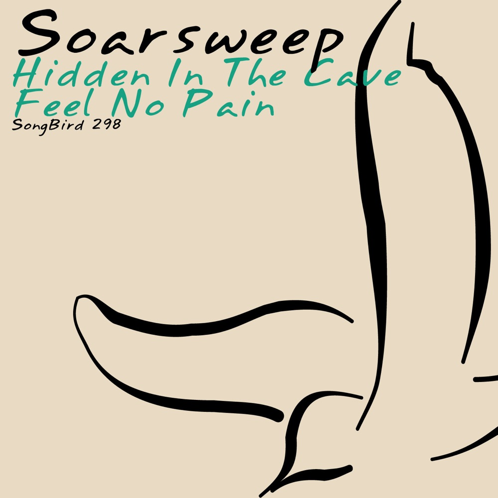 Обложка альбома «Hidden In the Cave / Feel No Pain - Single» — Soarsweep