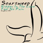 Hidden In the Cave / Feel No Pain - Single