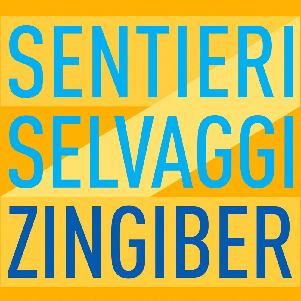 Обложка альбома «Zingiber» — Carlo Boccadoro & Sentieri Selvaggi