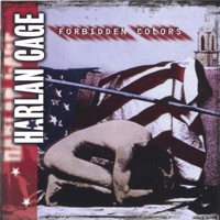 Late Night Escapades