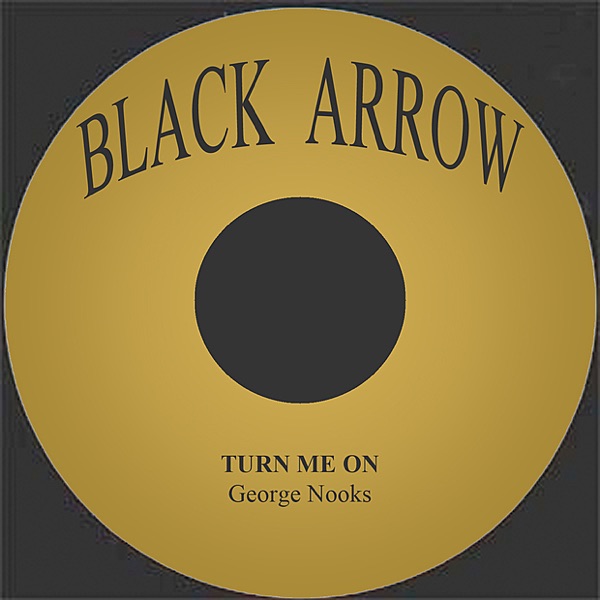 Turn Me On - Single album cover