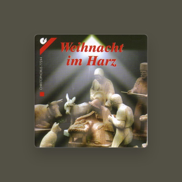 HZV Braunlage's avatar