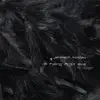 Janosch Moldau - I`m falling from love-broken wings mix