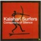 A New Chemical Entity - Kalahari Surfers lyrics