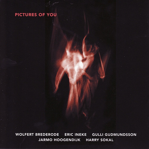 Обложка альбома «Pictures of You» — Wolfert Brederode