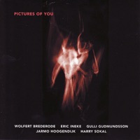 Pictures of You - Wolfert Brederode