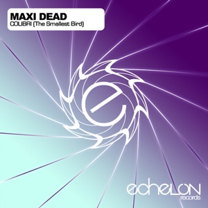 Colibri (The Smallest Bird) - Single