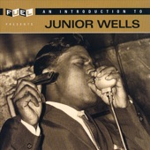 Junior Wells - Little By Little (I'm Losing You)