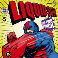 Stop — Liquid Soul