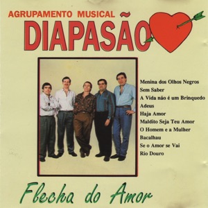 Flecha do Amor