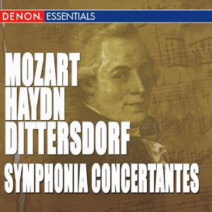 Sinfonia Concertante for Violin, Viola, Oboe, Bassoon & Orchestra In B-Flat Major, Hob. I /105, Op. 84: II. Andante