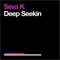Deep Seekin (Vas Floyd Remix) - Seva K lyrics