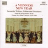 A Viennese New Year - Favorite Waltzes, Polkas and Overtures