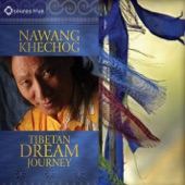 Tibetan Dream Journey artwork
