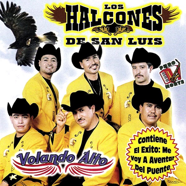 Volando Alto