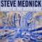 Wings of Faith - Steve Mednick lyrics