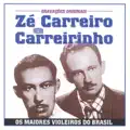 Canoeiro