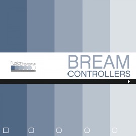 Controllers (Extended Mix) Bream