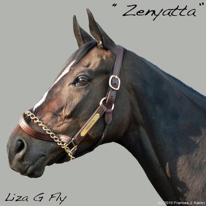 Zenyatta