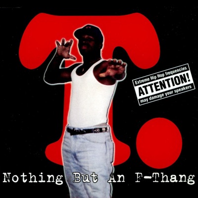 Nothing But An F-thang - Single