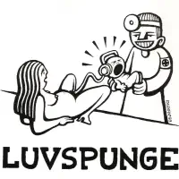 Do You Feel What I'm Feeling — Luvspunge