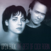 Open Book cover