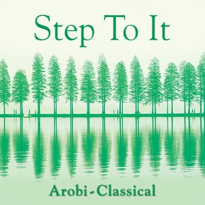 Variations on a Theme of Joseph Haydn, op.56a: Finale - Andante