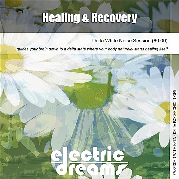 Cover of Healing and Recovery (Delta White Noise Session)