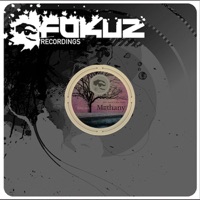 Methany / Losing Brave - Single - Mutt, Paul SG & Blue Motion