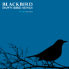 Blackbird Dawn Morning Bird Song - Prime Sound new Single