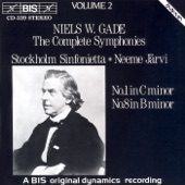 Symphony No. 1 In C Minor, Op. 5, "Paa Sjolunds Fagre Sletter": IV. Finale: Molto Allegro Ma Con Fuoco artwork
