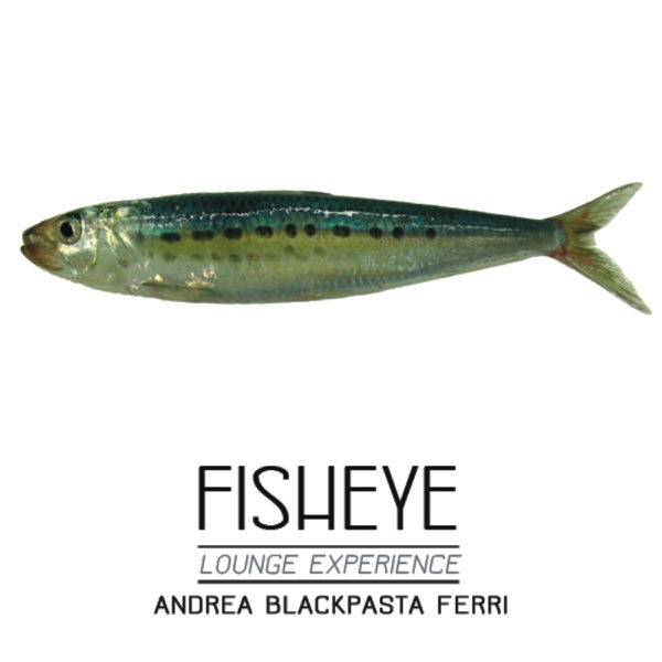 Fisheye - Lounge Experience