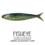 Fisheye - Lounge Experience