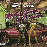 Money Bags & B**ches (feat. Philthy Rich, Jay Jonah, J. Stalin, Bruce Banna & Shady Nate) - Young Tweez