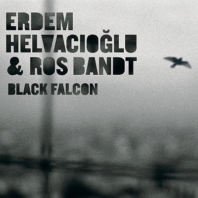 Black Falcon