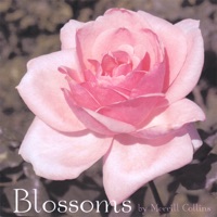 Blossoms - Merrill Collins
