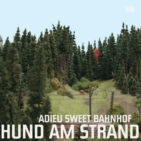 Jungen Mädchen — Hund Am Strand