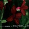 Lost Dog - Kevin Breit lyrics