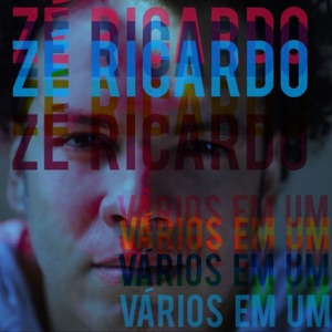 Vários Em Um - Single