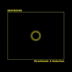 Streethawk: A Seduction - Destroyer
