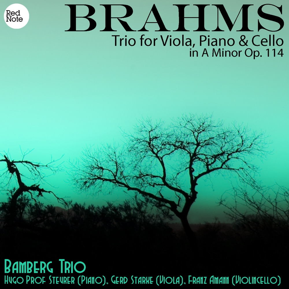 Обложка альбома «Brahms: Trio for Viola, Piano & Cello in A Minor Op. 114» — Bamberg Trio
