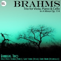 Brahms: Trio for Viola, Piano & Cello in A Minor Op. 114 - Bamberg Trio